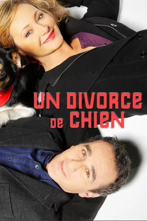 Постер: Un divorce de chien