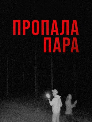 Постер: Пропала пара