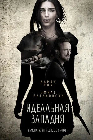 Постер: Идеальная западня