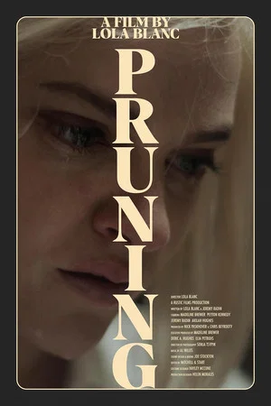 Постер: Pruning
