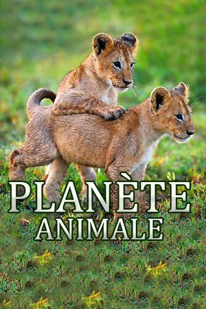 Постер: Animal Planet