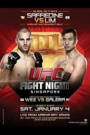 Постер: UFC Fight Night 34: Saffiedine vs. Lim