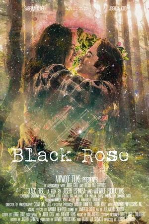Постер: Black Rose