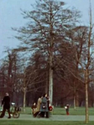 Постер: Park Film