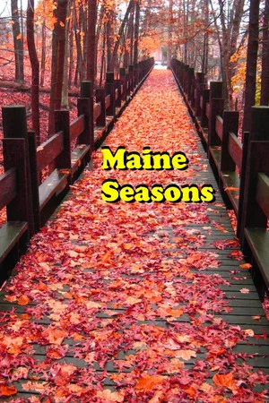 Постер: Maine Seasons