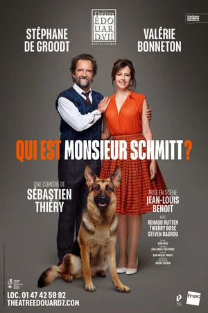 Постер: Qui est Monsieur Schmitt ?