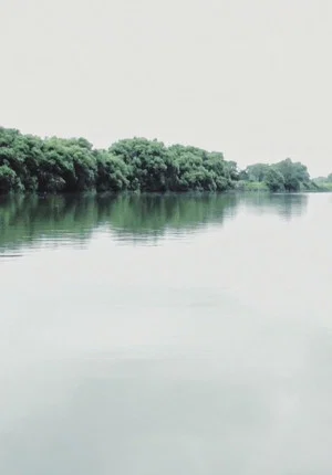 Постер: People in Riverside