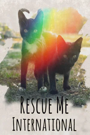 Постер: Rescue Me: International