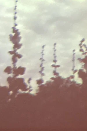 Постер: Oo Fifi, Five Days In Claude Monet's Garden, Part 2