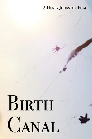 Постер: Birth Canal