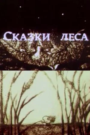 Постер: Сказки леса