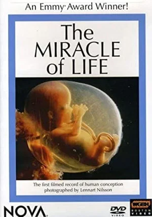 Постер: The Miracle of Life