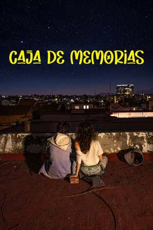Постер: Box of Memories