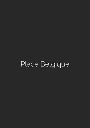 Постер: Place Belgique