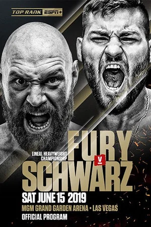 Постер: Fury vs. Schwarz