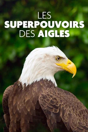 Постер: Superpowered Eagles