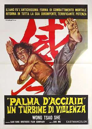 Постер: The Invincible Iron Palm