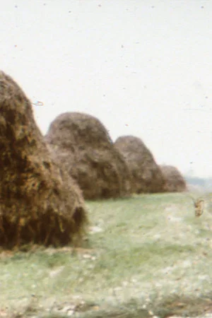 Постер: Haystacks