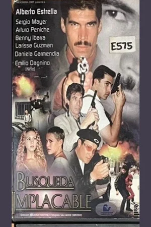 Постер: Búsqueda implacable