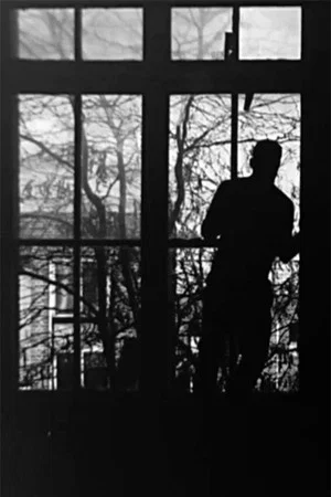 Постер: Remnant From Echo and Shadow