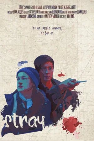 Постер: Stray