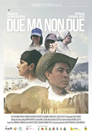 Постер: Due ma non due