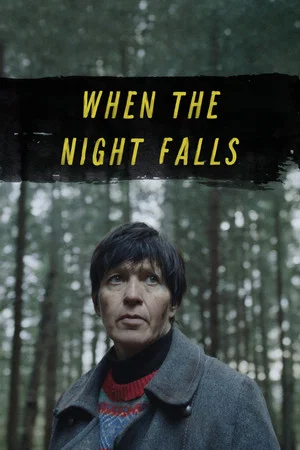 Постер: When the Night Falls