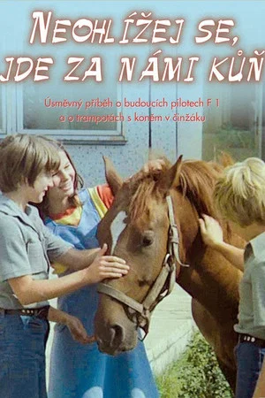 Постер: Don't Look Back, There Is a Horse Behind Us