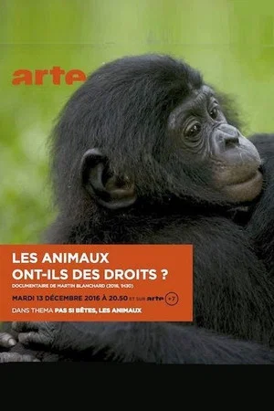 Постер: Les animaux ont ils des droits?