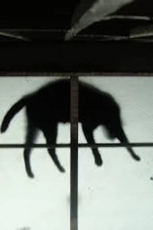 Постер: Scissors and the Cat