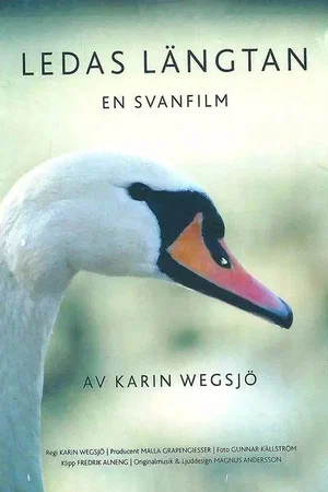 Постер: Ledas längtan : En svanfilm