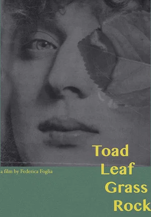 Постер: Toad, Leaf, Grass, Rock