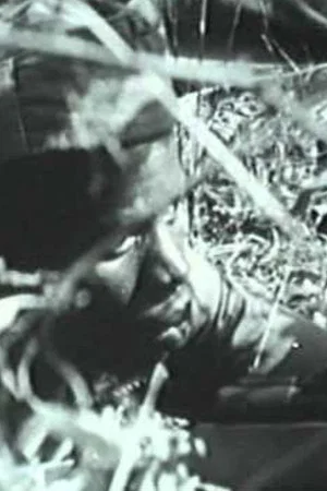 Постер: Anos de Guerra - Guiné 1963-1974