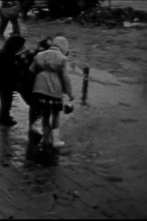 Постер: Found footage