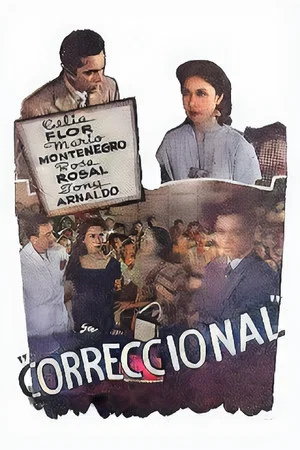 Постер: Correctional