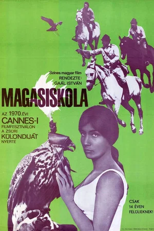 Постер: The Falcons