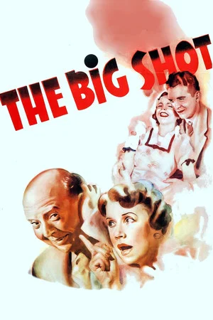 Постер: The Big Shot