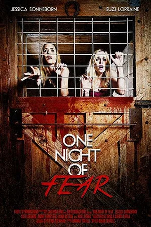 Постер: One Night of Fear