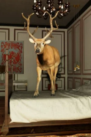 Постер: Dear Hart - How They Dream. How We Dream.