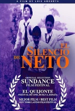 Постер: Los orígenes del silencio