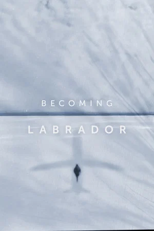 Постер: Becoming Labrador