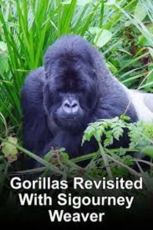 Постер: Gorillas Revisited with Sigourney Weaver