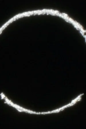 Постер: conical signal