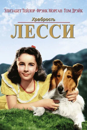 Постер: Храбрость Лесси