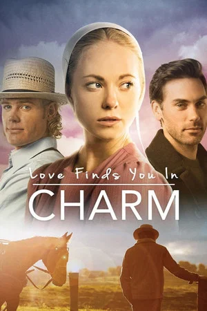 Постер: Love Finds You in Charm