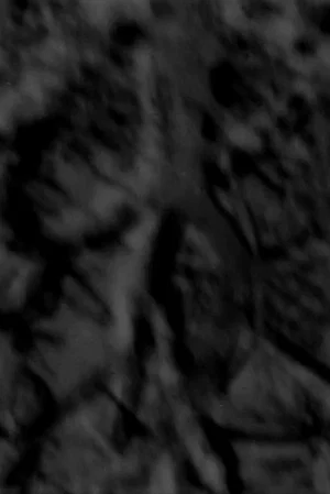 Постер: Tempus