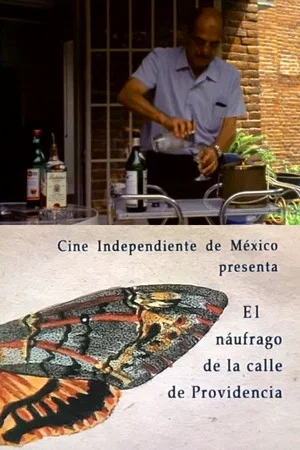 Постер: El náufrago de la Calle Providencia