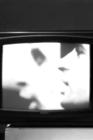 Постер: VTR&I