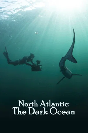 Постер: North Atlantic: The Dark Ocean