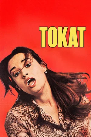 Постер: Tokat